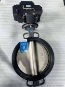 <strong>展现出多元化的发展潜力</strong>