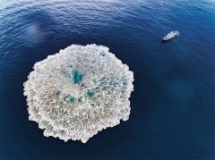 黄高工以“小学生”的心