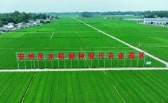 高达科技通过绵阳市安州